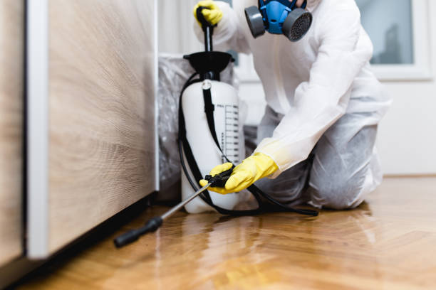 Best Commercial Pest Control Services  in Potomac Heights, MD