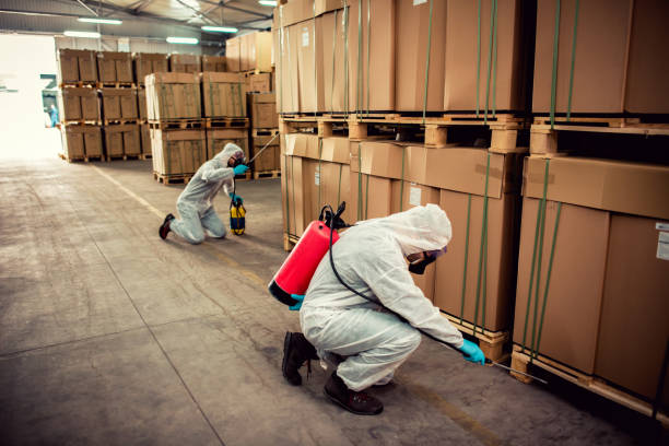 Best Emergency Pest Control  in Potomac Heights, MD