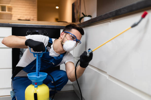 Best Bed Bug Extermination  in Potomac Heights, MD