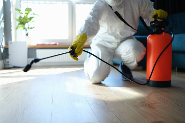Best Flea Control Services  in Potomac Heights, MD