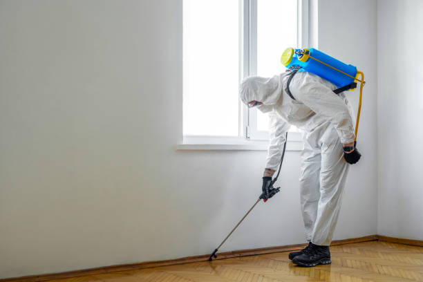 Wildlife Control Services in Potomac Heights, MD