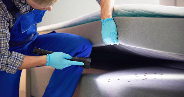 Best Rat Extermination Near Me  in Potomac Heights, MD