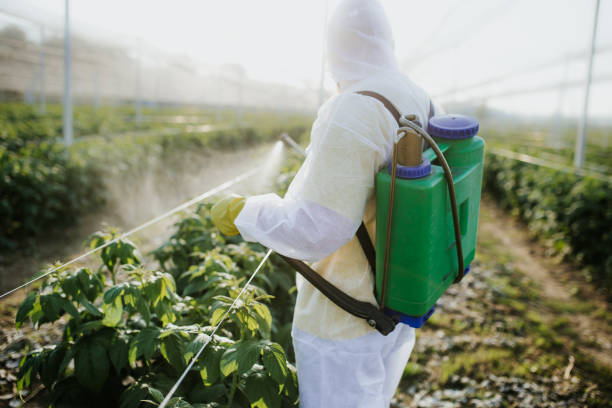 Pest Control Cost in Potomac Heights, MD
